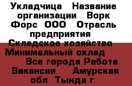 Укладчица › Название организации ­ Ворк Форс, ООО › Отрасль предприятия ­ Складское хозяйство › Минимальный оклад ­ 30 000 - Все города Работа » Вакансии   . Амурская обл.,Тында г.